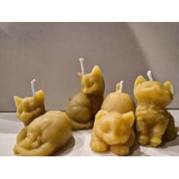 Bougie de NoÃ«l, Les 4 chatons en cire d'abeilles