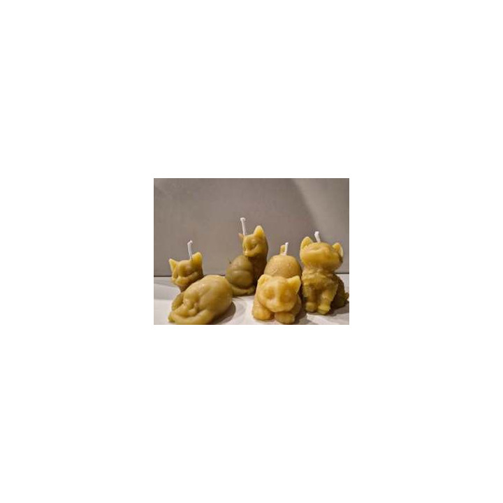 Bougie de NoÃ«l, Les 4 chatons en cire d'abeilles
